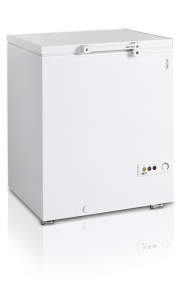Ларь морозильный Tefcold FR205 SL