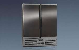 Шкаф морозильный Ариада Рапсодия R1400LX